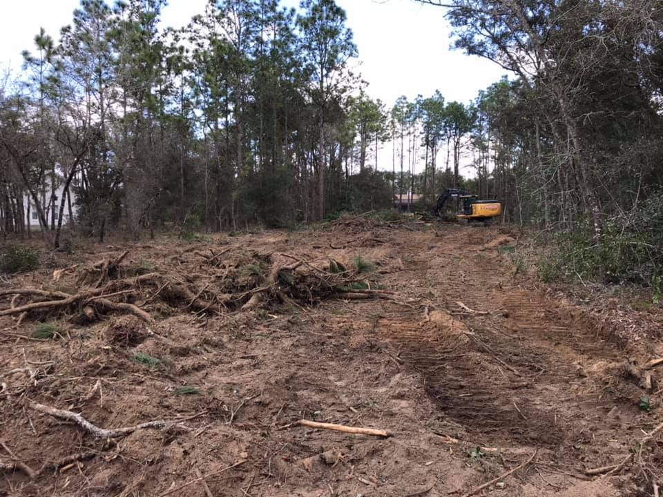 Land Clearing image